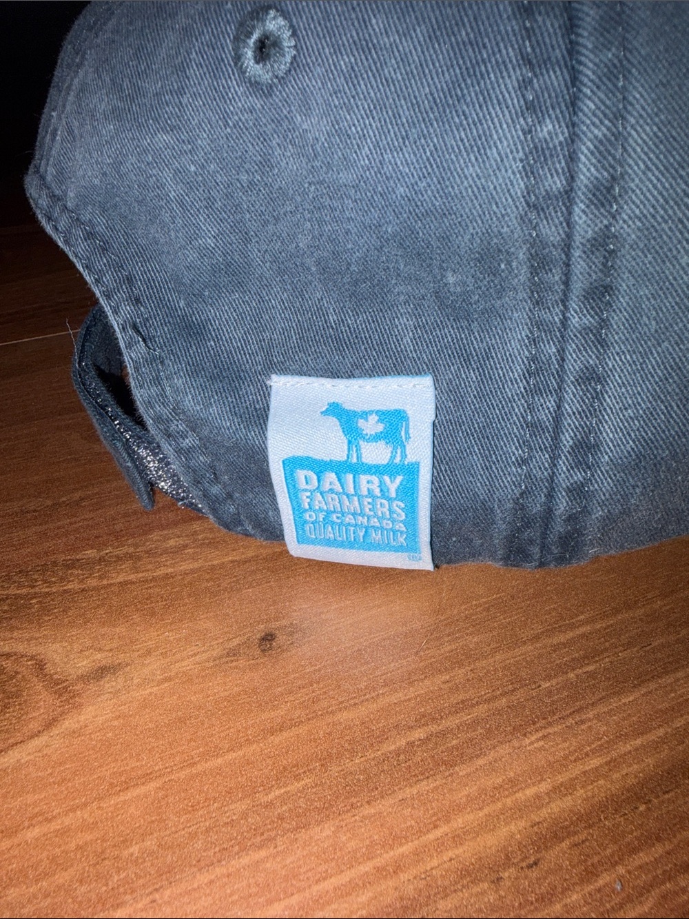 Adult Dairy Farmers Of Canada Blue Baseball Cap with Ice Cream Embroidery - Picture 3 of 5